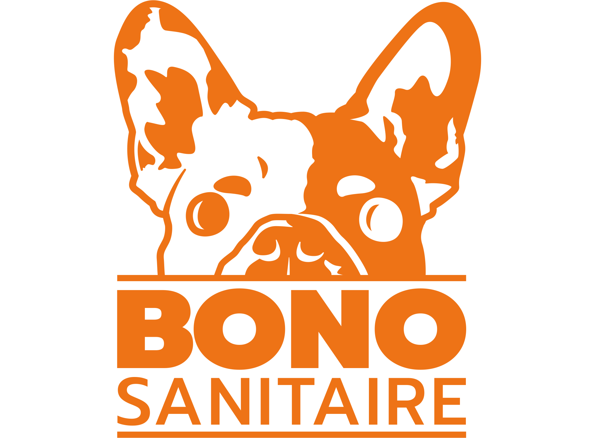 bono_sanitaire_couleur_logo crop